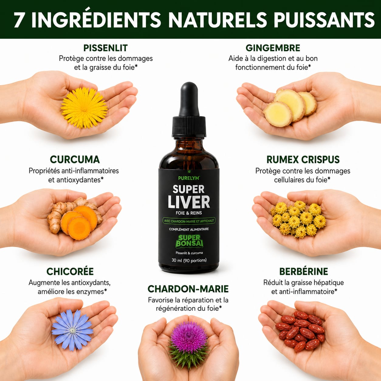 Purelym Ventre Léger • Soutien Foie & Intestin